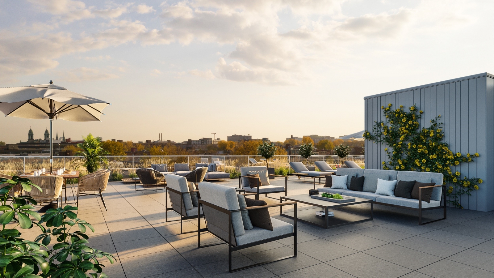 Le 495 Beaumont Condo appartement neuf à louer à ParcExtension
