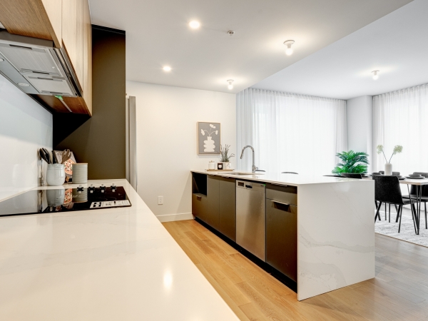 Marquise Phase VII - 20