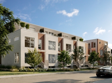 Dalia | Townhouses for rent