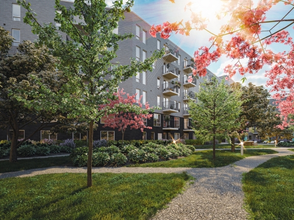 Solaia Phase 2 - 8
