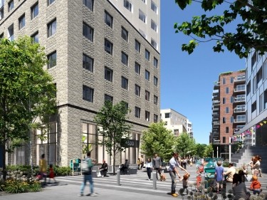Condo appartement neuf � louer 1 chambre HOMA | Cano� | appartements locatifs - Annuaire immobilier