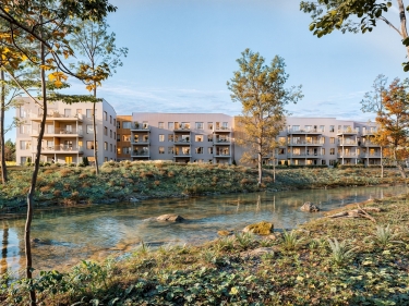 Condo appartement neuf � louer 1 chambre Saint-Philippe | Faubourg Campo - Annuaire immobilier
