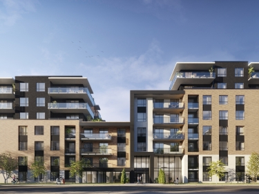 Condo 1 chambre Saint-L�onard | Citt� Condos - Annuaire immobilier