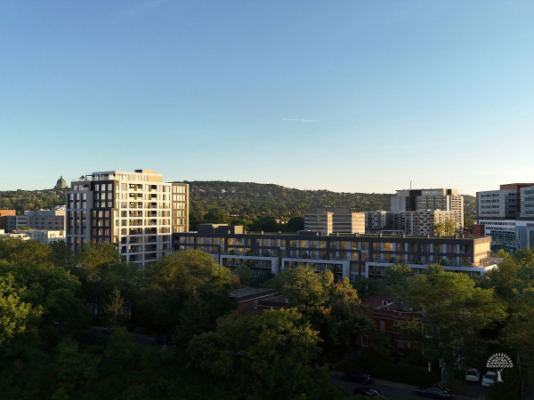Bosco | Rental Habitats in NDG - 19