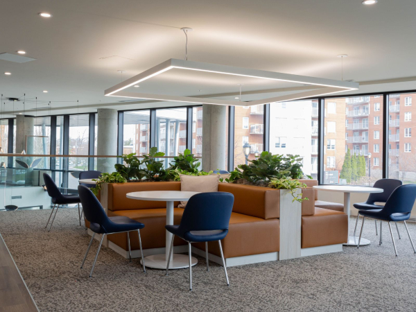 Noria appartements locatifs - 2