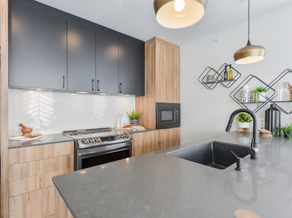 SkyBlü Condos - 13
